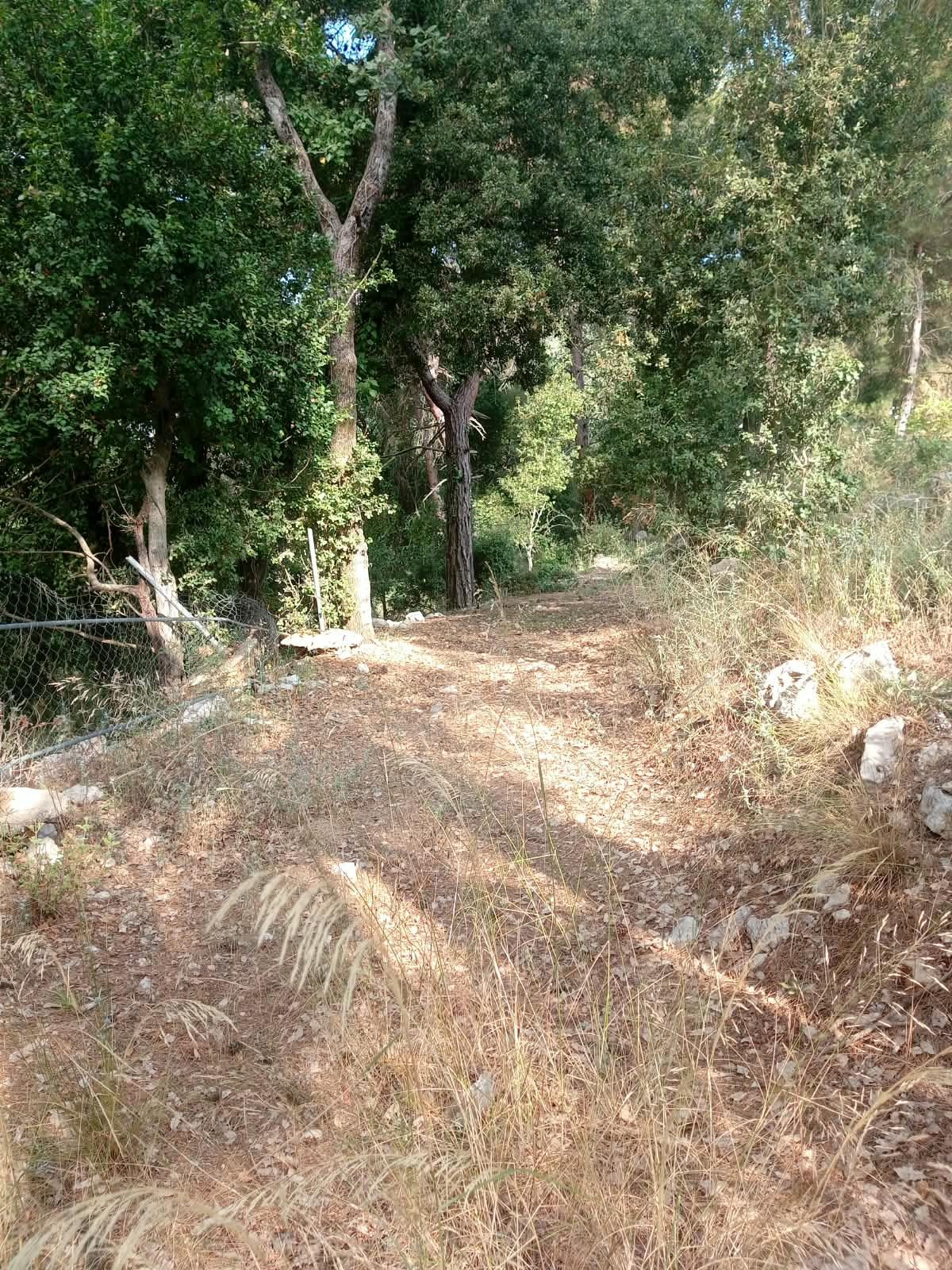 LAND in Bikfaya