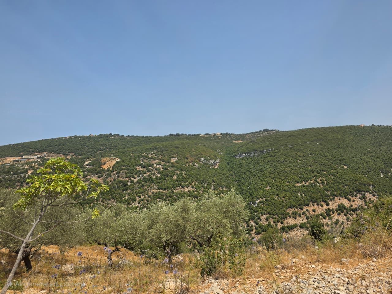 Land with a mountain view for sale in Jbeil
