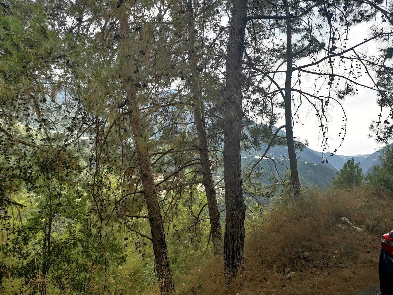 Sea-view land for sale in Fatre, Jbeil