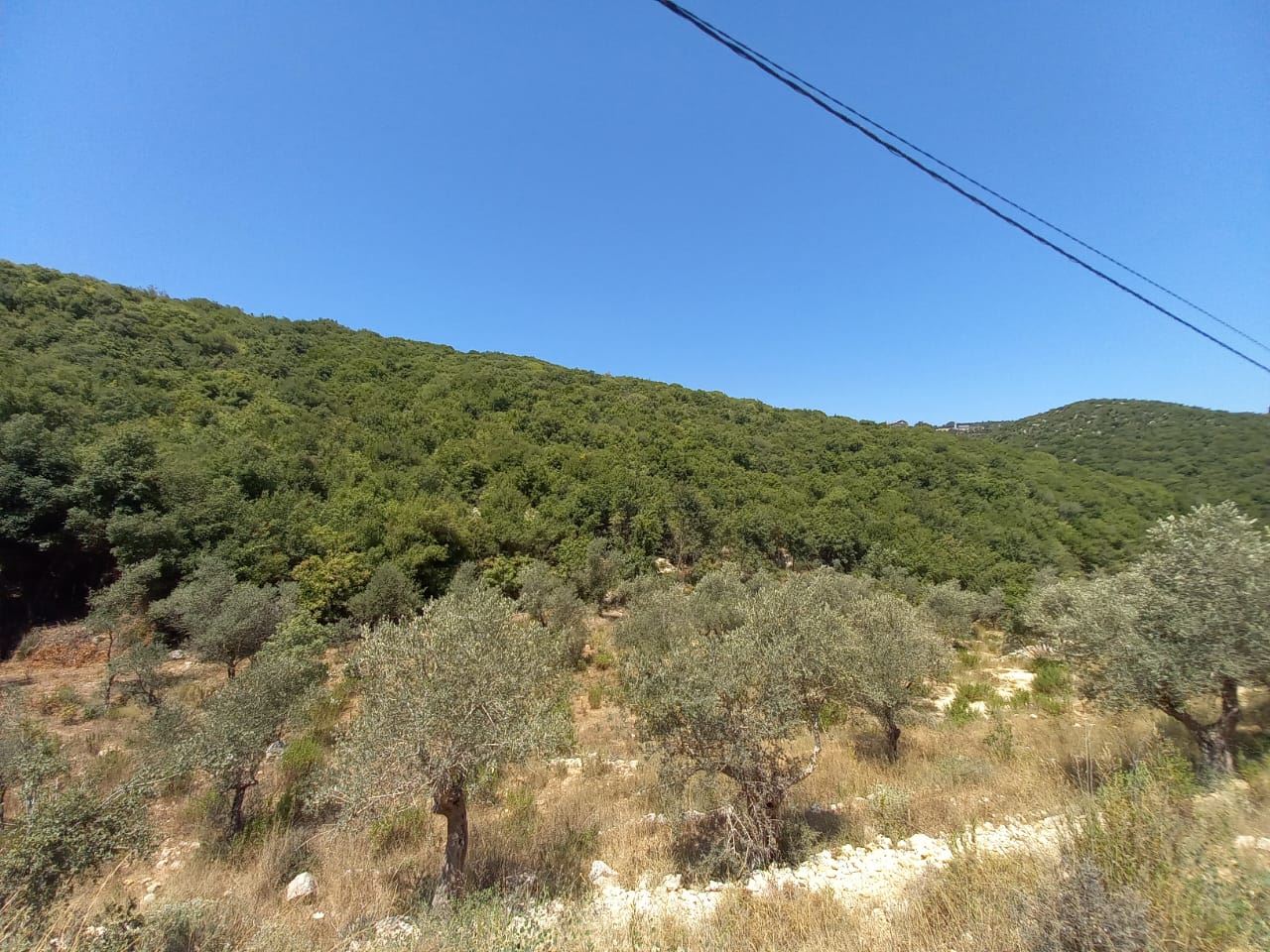 Land with a mountain view for sale in Batroun