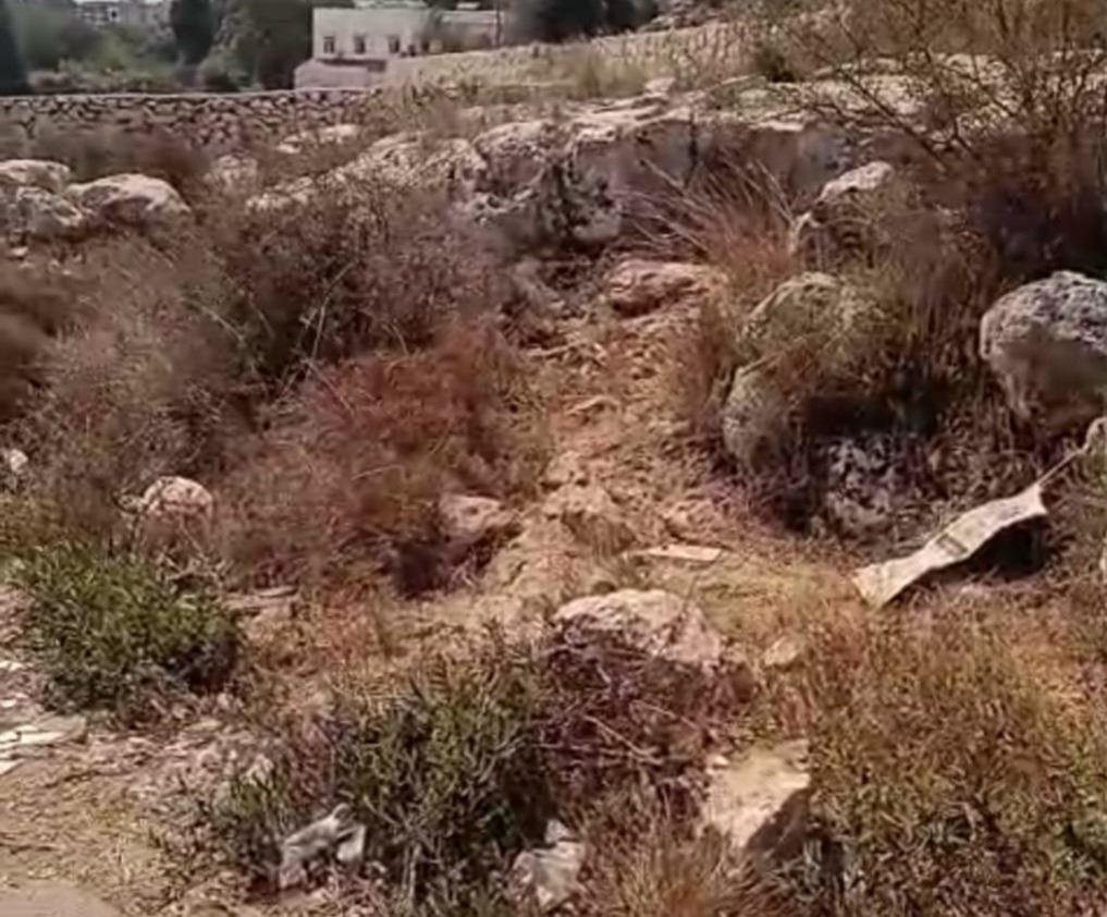 Land for sale in Koura