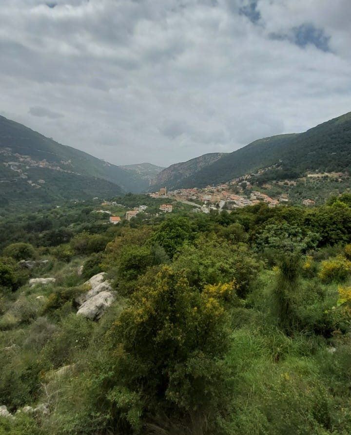 Land with a mountain view for sale in Other, Zgharta