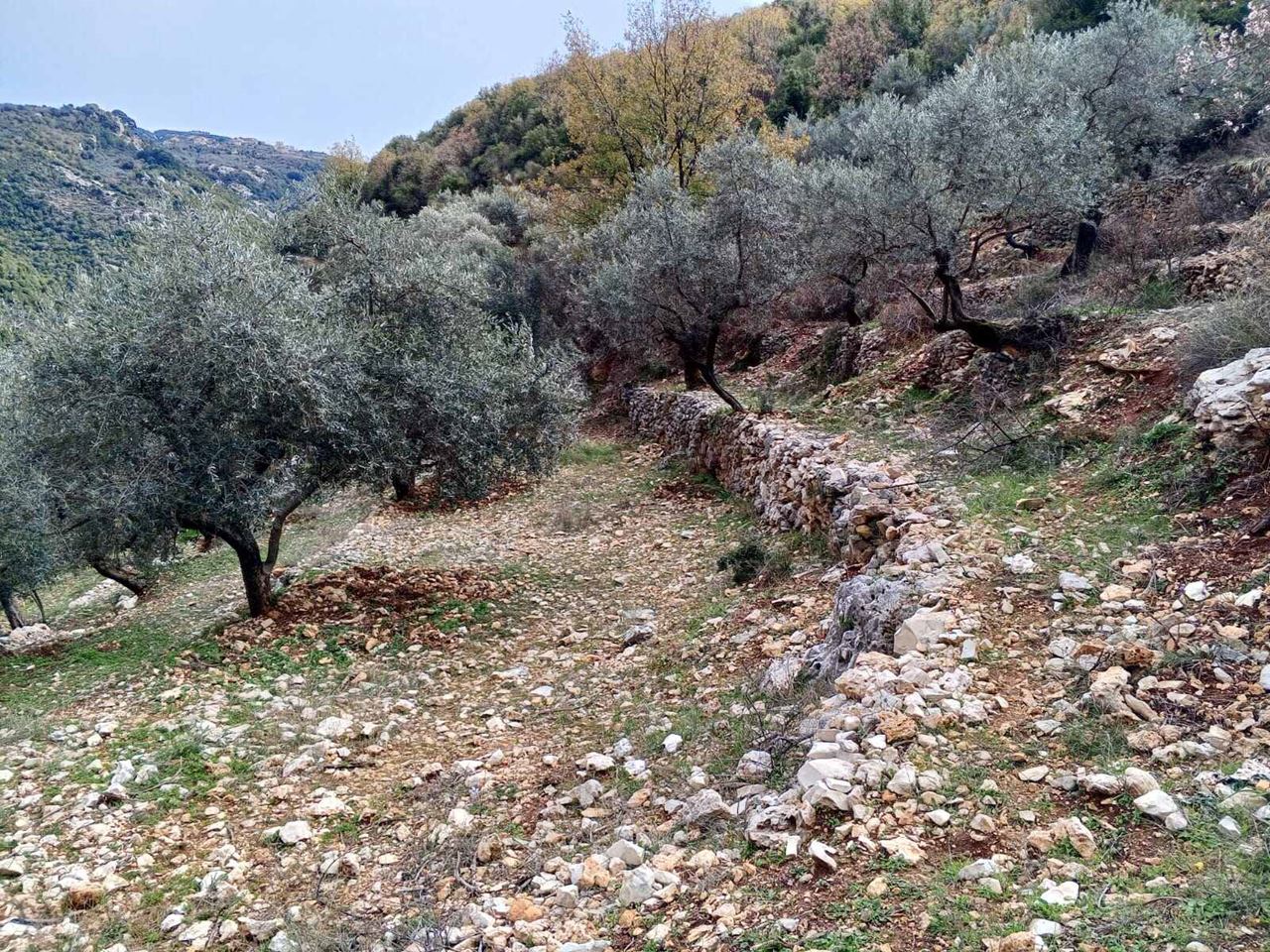 أرض بإطلالة على الجبل للبيع في اسيا، البترون