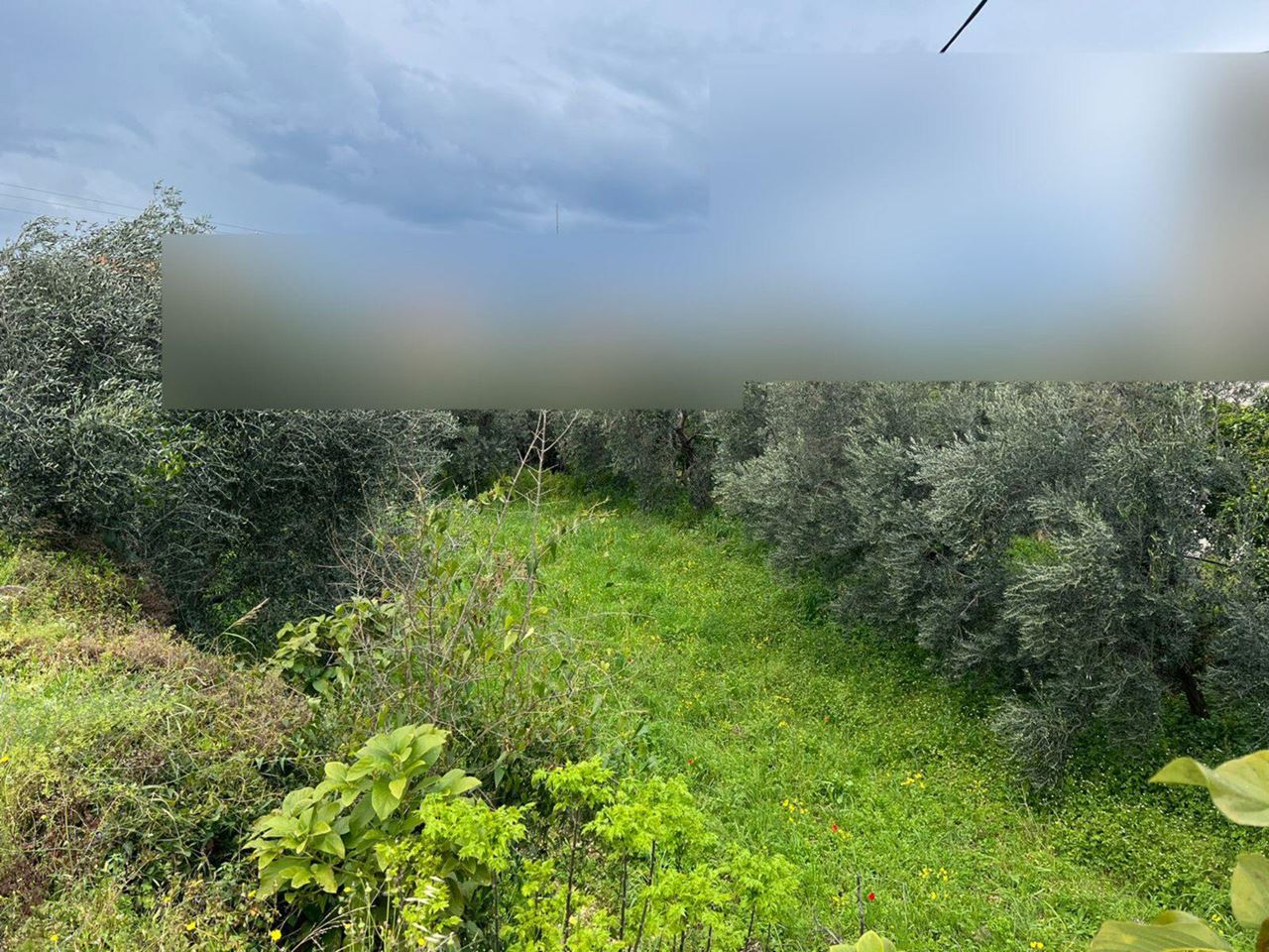 Land for sale in Batroun
