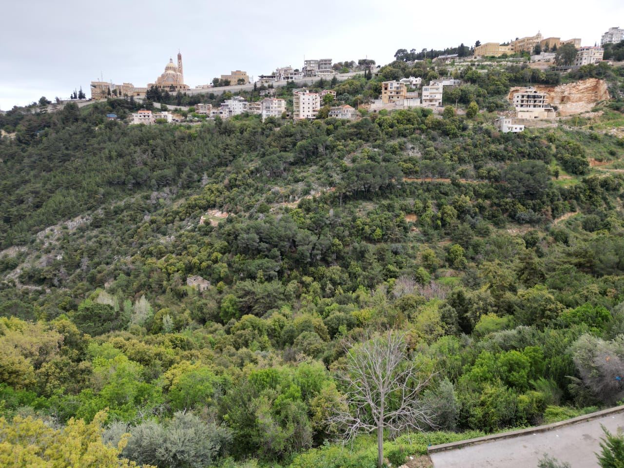 Land for sale in Daroun - Harissa, Keserwan
