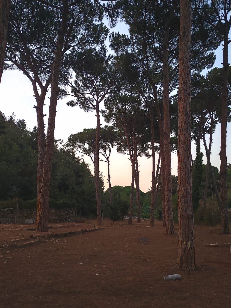 Land with a mountain view for sale in Jouret El Ballout, Metn