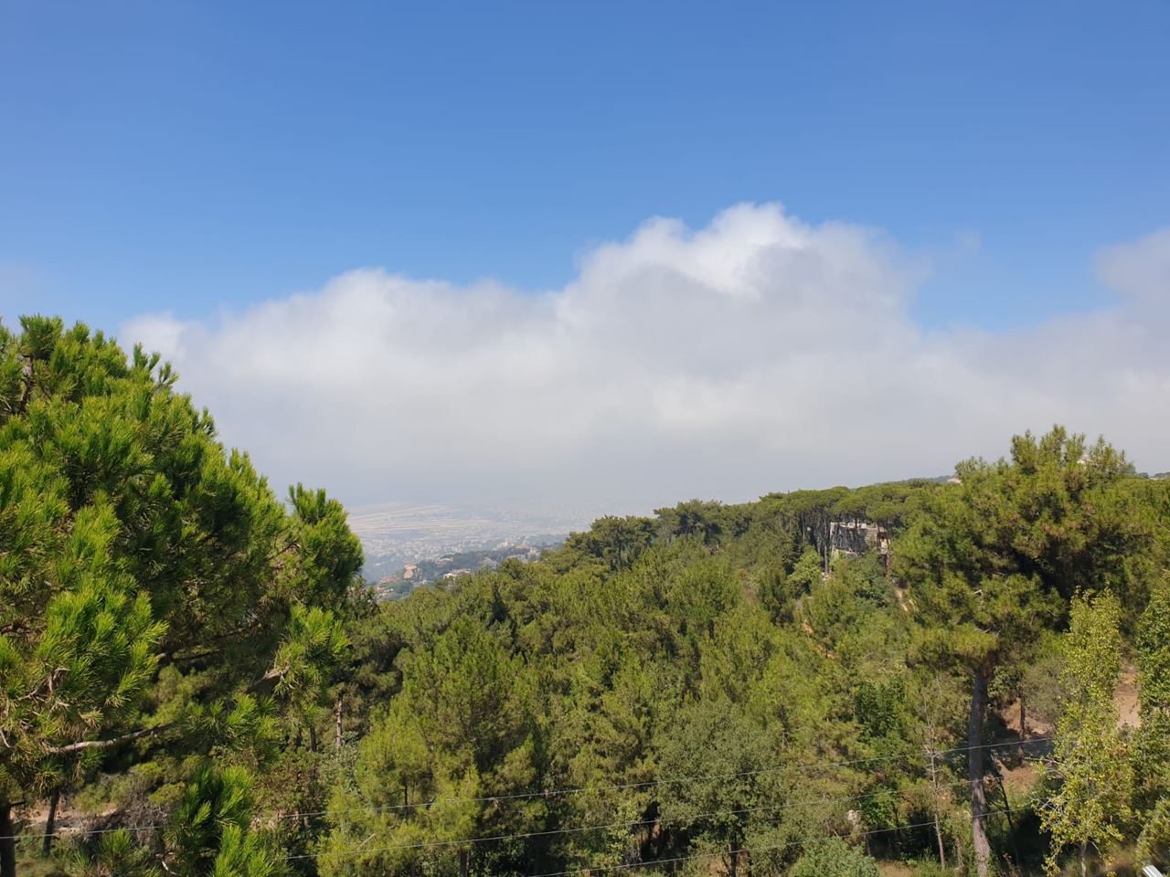 أرض بإطلالة على الجبل للبيع في علي