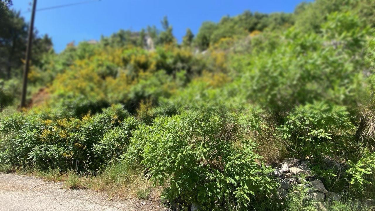 Land with a mountain view for sale in Ashkout, Keserwan