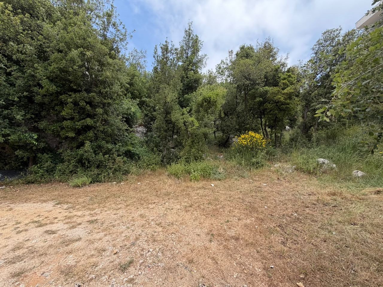 Land for sale in Ashkout, Keserwan