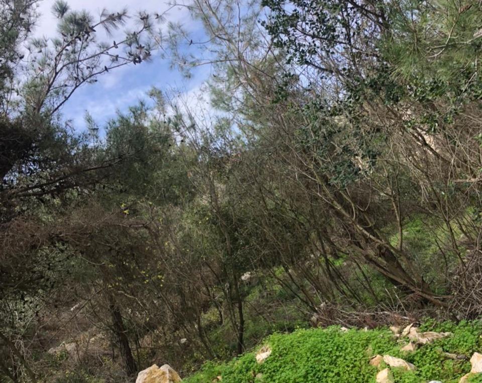 أرض بإطلالة على البحر للبيع في روميه، المتن