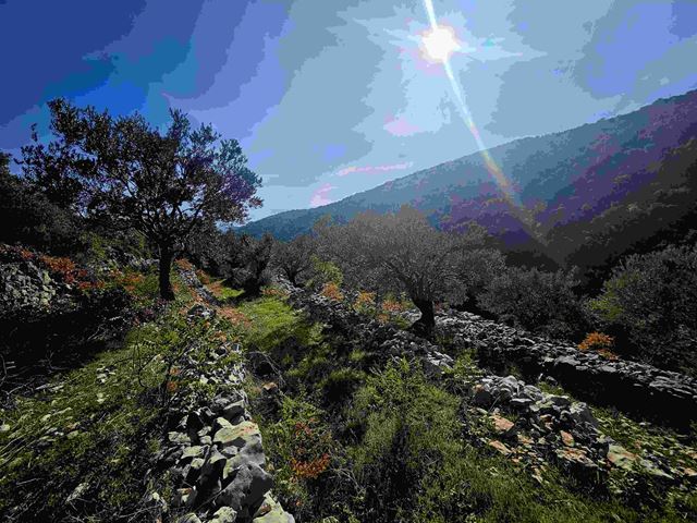 أرض بإطلالة على الجبل للبيع في شبطين، البترون