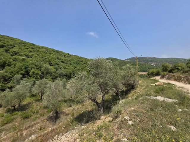أرض بإطلالة على الجبل للبيع في بترون - صورة 2