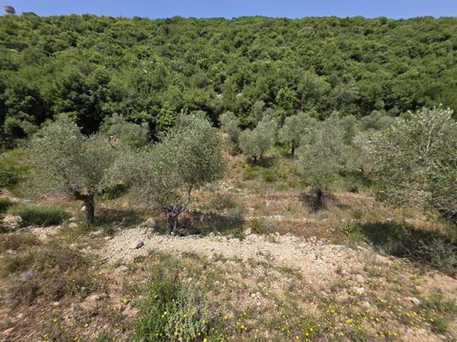 أرض بإطلالة على الجبل للبيع في بترون - صورة 3