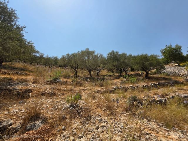 Land with a mountain view for sale in Jbeil - photo 2