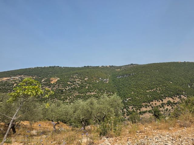 أرض بإطلالة على الجبل للبيع في جبيل