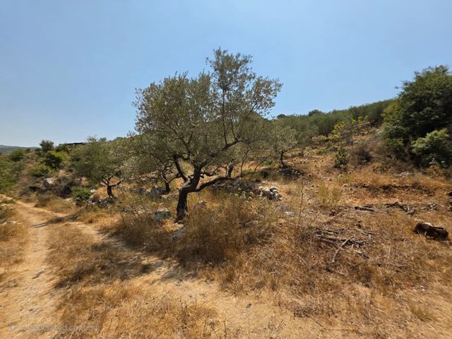 Land with a mountain view for sale in Jbeil - photo 3