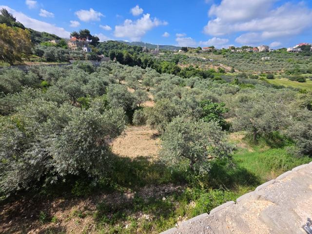 Land with a mountain view for sale in Kfifan (Batroun), Batroun - photo 3