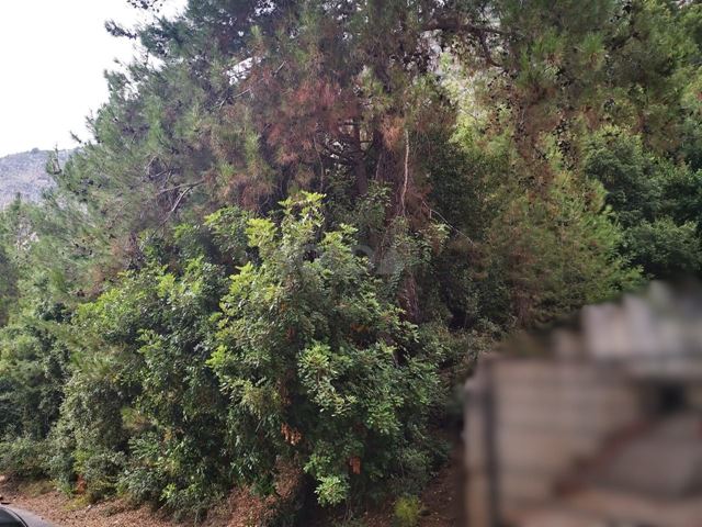 Sea-view land for sale in Fatre, Jbeil - photo 2