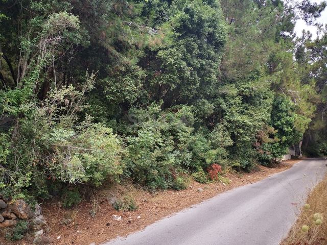Sea-view land for sale in Fatre, Jbeil - photo 3
