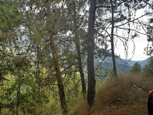 Sea-view land for sale in Fatre, Jbeil