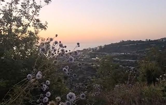 Land for sale in Fatqa, Keserwan