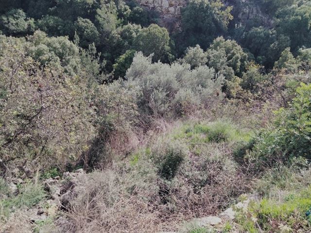 أرض للبيع في جعيتا، كسروان - صورة 2