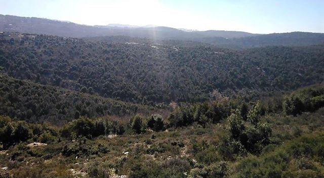 أرض بإطلالة على الجبل للبيع في مشمش، جبيل - صورة 3