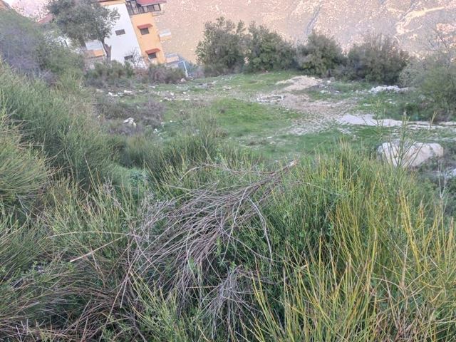 أرض بإطلالة على الجبل للبيع في عنايا، جبيل - صورة 2