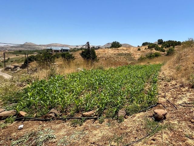 أرض بإطلالة على الجبل للبيع في لقلوق، جبيل