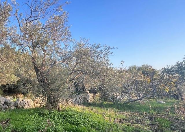 Sea-view land for sale in Monsef, Jbeil - photo 2