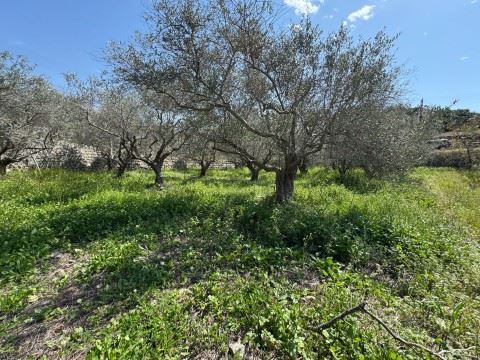 Land with a mountain view for sale in Rihani, Jbeil - photo 2