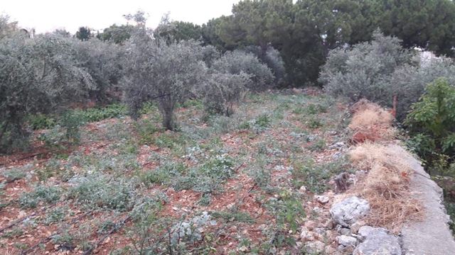 أرض بإطلالة على البحر للبيع في عمشيت، جبيل - صورة 2