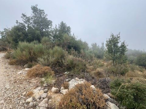 أرض بإطلالة على الجبل للبيع في مشمش، جبيل - صورة 3