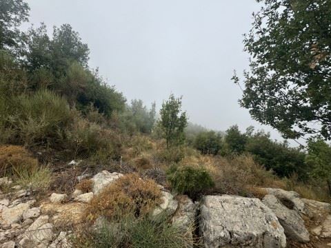 Land with a mountain view for sale in Mechmech, Jbeil
