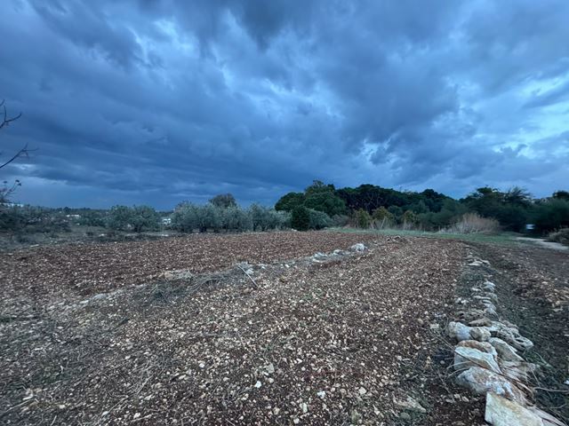 Land for sale in Batroun