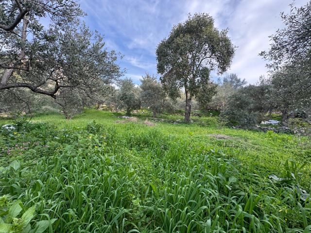 Sea-view land for sale in Aamchit, Jbeil - photo 2