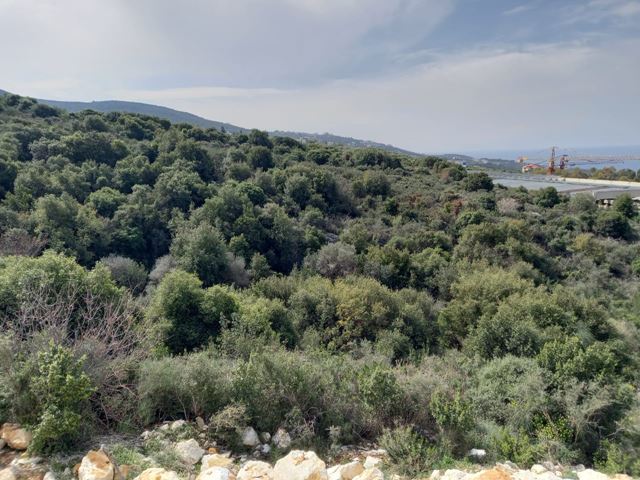 Sea-view land for sale in Kfar Aabida, Batroun - photo 3