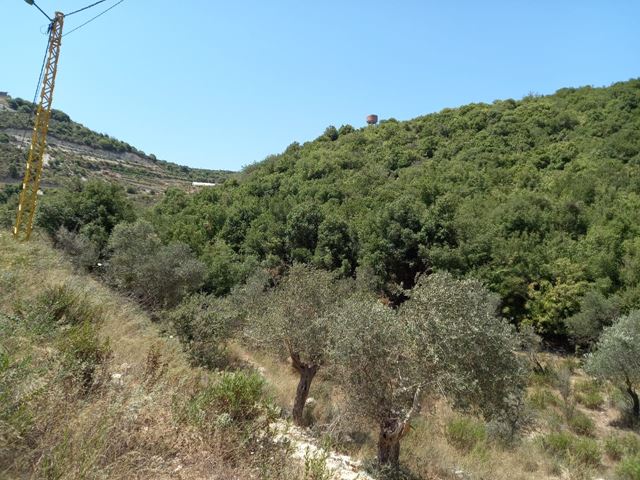 Land with a mountain view for sale in Batroun - photo 3