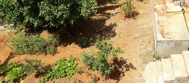House with a garden for sale in Naccache, Metn - photo 3