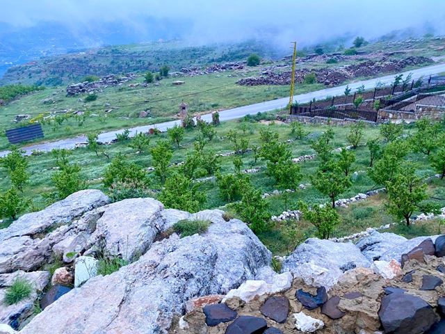 أرض بإطلالة على الجبل للبيع في عقورا، جبيل