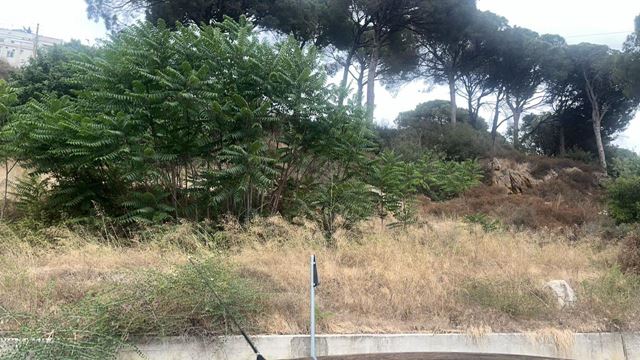 Land with a mountain view for sale in Bsous, Aley - photo 2