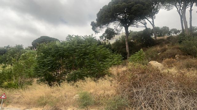 أرض بإطلالة على الجبل للبيع في بسوس، عاليه