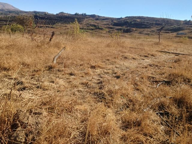 أرض بإطلالة على الجبل للبيع في ترشيش، بعبدا