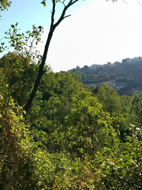 Land with a mountain view for sale in Other, Koura