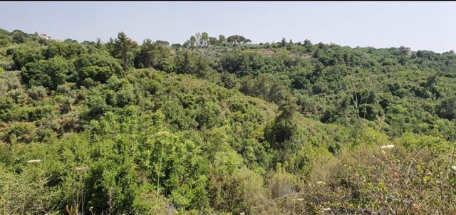 Land for sale in Dibbiye, Chouf - photo 2