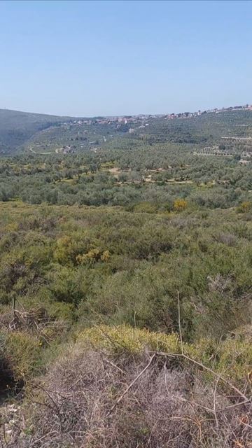 Land with a mountain view for sale in Koura - photo 3