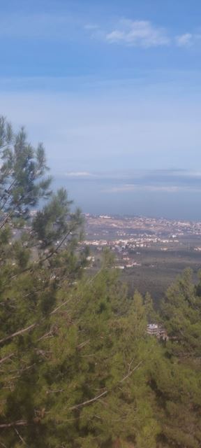 أرض بإطلالة على الجبل للبيع في الكورة - صورة 2
