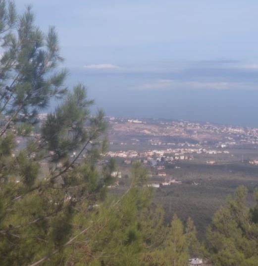 Land with a mountain view for sale in Koura
