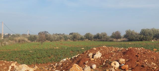 أرض بإطلالة على الجبل للبيع في بصرما، الكورة - صورة 2