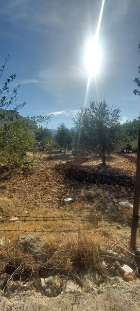 Land for sale in Koura - photo 3
